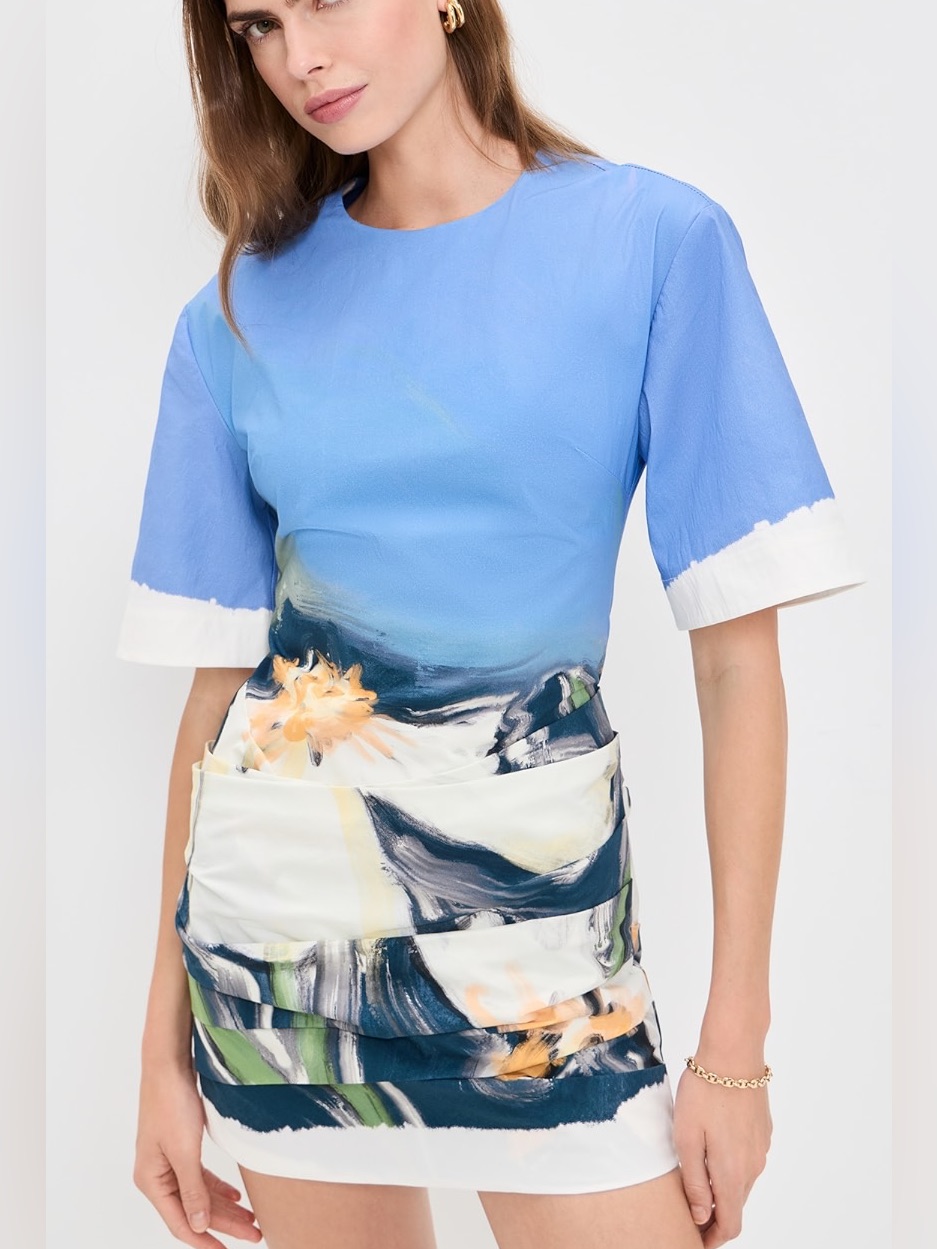Significant Other Beaux Mini Dress In Posy Impression